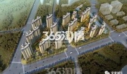 城东某楼盘爆料事件视频,质量问题频发，业主维权之路漫漫